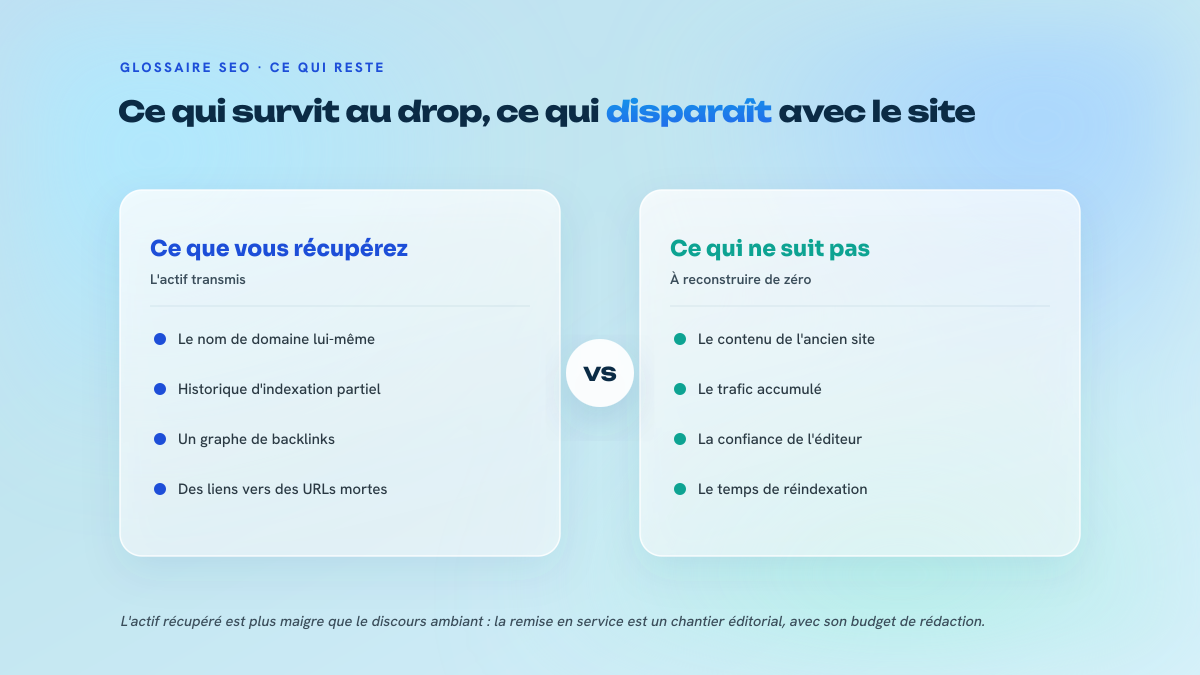 Comparaison en deux colonnes entre ce que l'on récupère en catchant un domaine expiré (le nom, un historique d'indexation partiel, un graphe de backlinks vers des URLs mortes) et ce qui ne suit pas (le contenu, le trafic, la confiance de l'ancien éditeur).